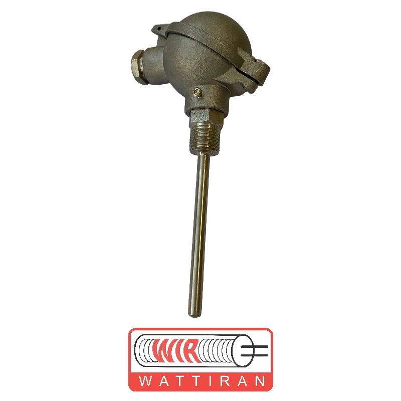 Thermocouple with head ترموکوپل کلگی دار - Image 1